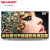 CARP LCD-80 X 864 A 80インフレイベルハーイビト