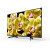 ソニー（SONY）KD-65 X 8000 G 65インチ大画面4 Kフルハービィテレビ2019年新品