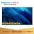 ハイセスVIDAA 65 V 3-5インチー4 Kフルハウス超薄型金属フルーハーンハイセス3 G+16 G知恵スクリング教育テレビ人工知能液晶パネルテ